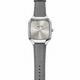 Grey / Silver