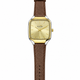 Gold / Brown